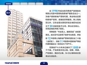 房地產(chǎn)咨詢服務(wù) 賦能決策，驅(qū)動價(jià)值